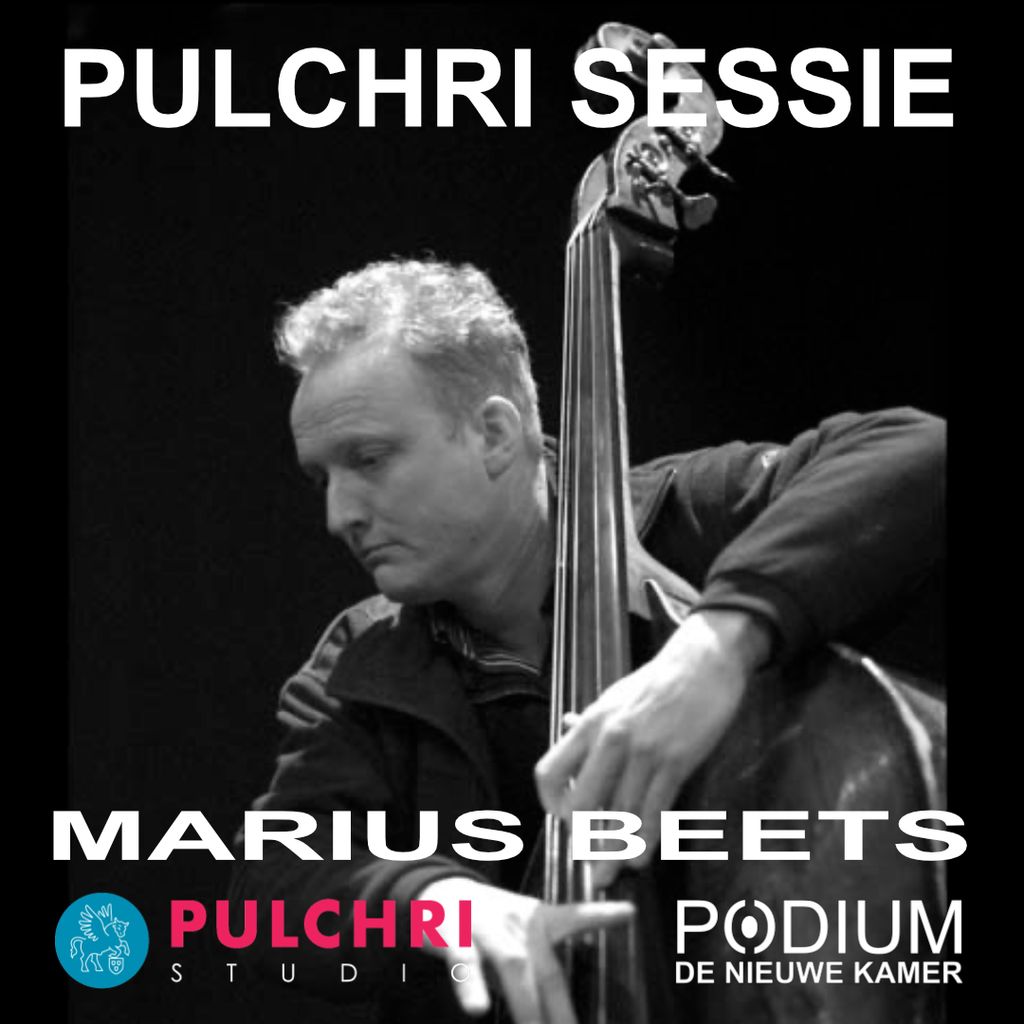 Pulchri Sessie olv Marius Beets